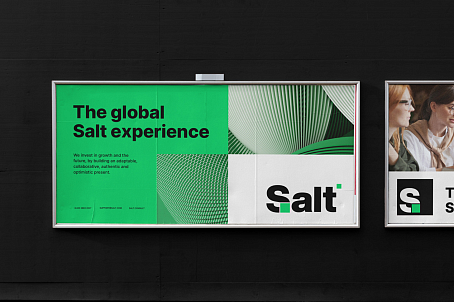 Salt-изображение-49268
