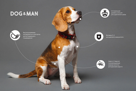 Dog&Man-изображение-26508