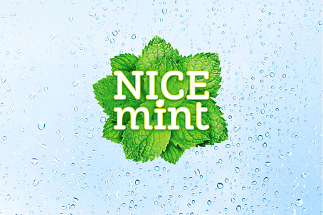 Nice Mint-изображение-24899