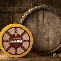 Сыр EmandHof — разработка дизайна и создание логотипа.