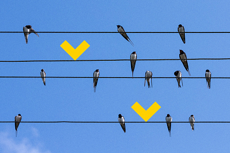 Lastauka-picture-56981