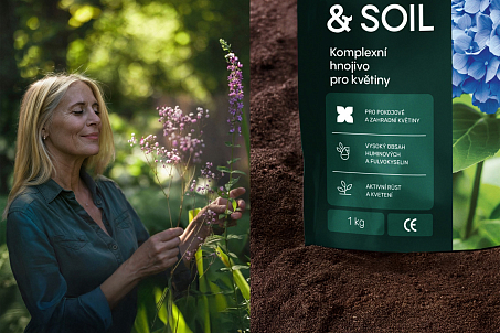 Heart&Soil-picture-56545